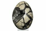 Septarian Dragon Egg Geode - Black Crystals #246121-2